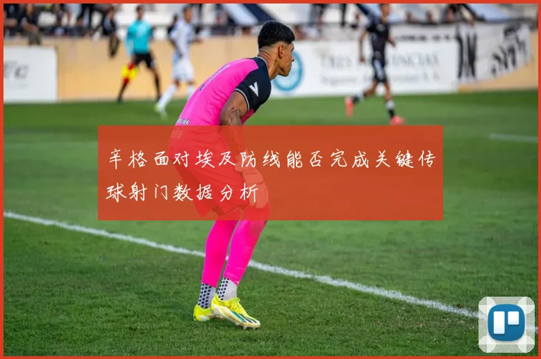 辛格面对埃及防线能否完成关键传球射门数据分析
