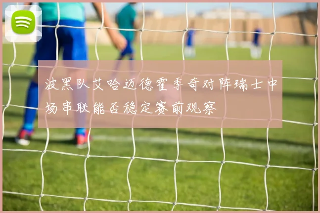 波黑队艾哈迈德霍季奇对阵瑞士中场串联能否稳定赛前观察