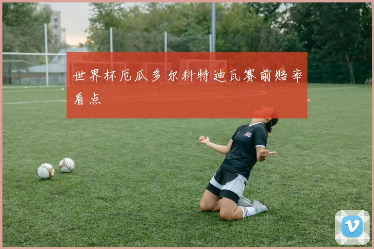 世界杯厄瓜多尔科特迪瓦赛前赔率看点
