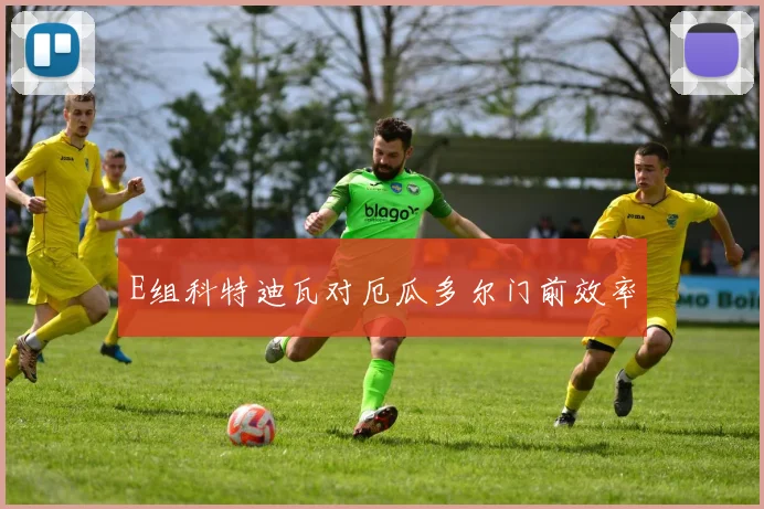 E组科特迪瓦对厄瓜多尔门前效率